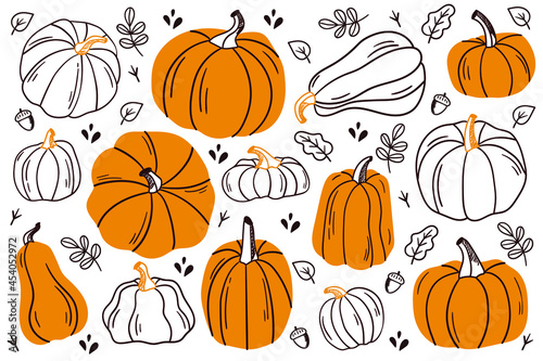 Set of pumpkins. Pumpkin of different shapes and colors. Thanksgiving design. Autumn pumpkin.