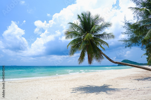 Coconut tree or palm tree at Thung Wua Laen Beach in Chomphon province Thailand  viewpoint of tropical beach seaside and blue sky