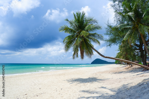 Fototapeta Naklejka Na Ścianę i Meble -  Coconut tree or palm tree at Thung Wua Laen Beach in Chomphon province Thailand, viewpoint of tropical beach seaside and blue sky