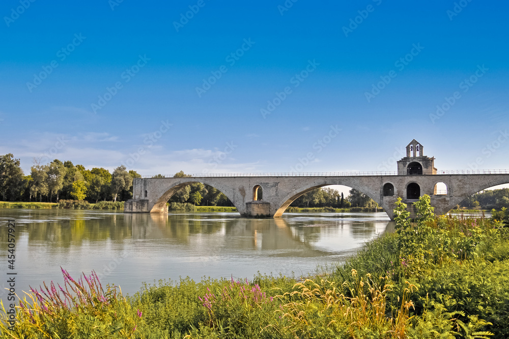Fototapeta premium vue du pont de la ville d'Avignon en France