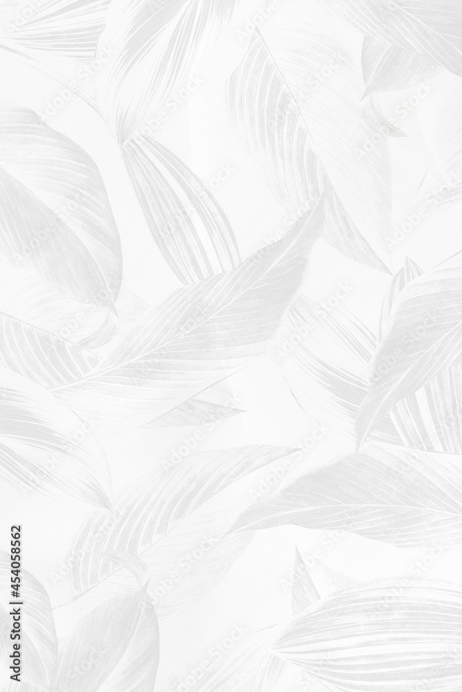 Gray calathea lutea leaf patterned background Gray calathea lutea leaf patterned background