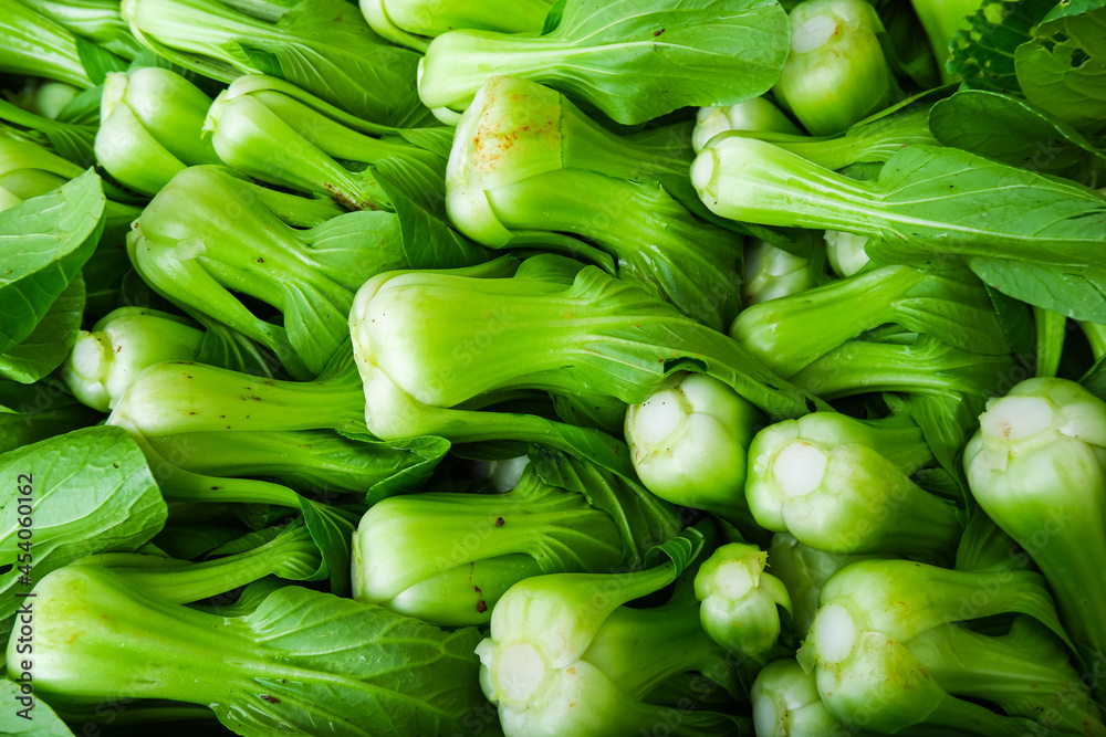 bok choy, pak choi , pok choi organic vegetable bok choy, pak choi , pok choi organic vegetable