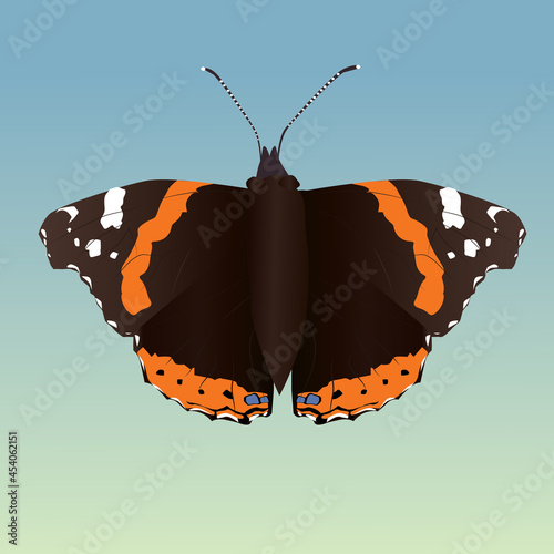 

A vector illustration of a Vanessa atalanta butterfly on a pale green and blue background