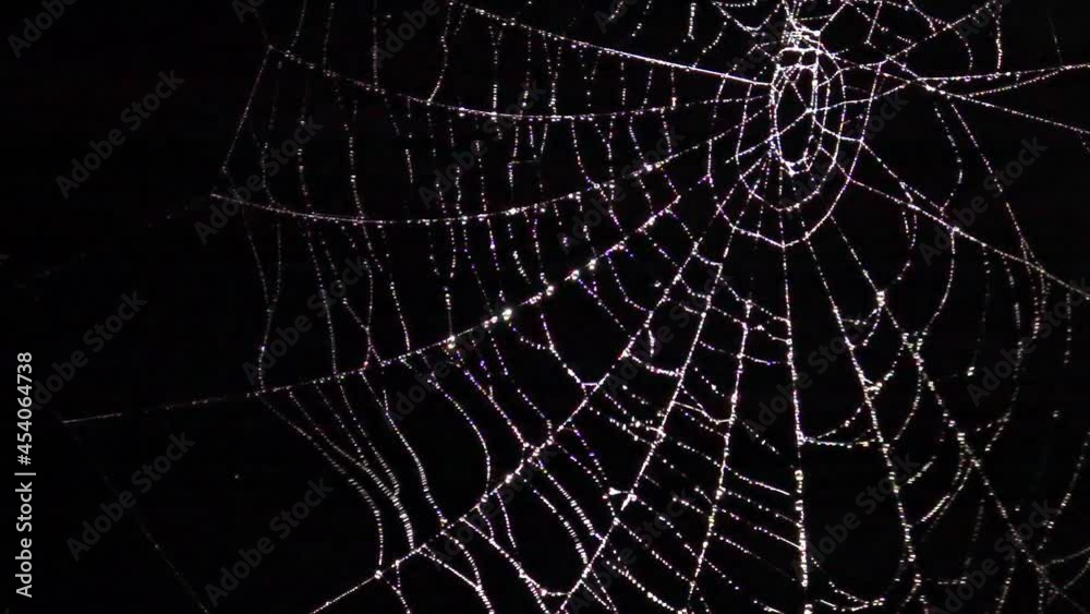 Brilliant spider web with water drops swaying in wind at night. Scary Halloween decoration. Slow motion. Close up.