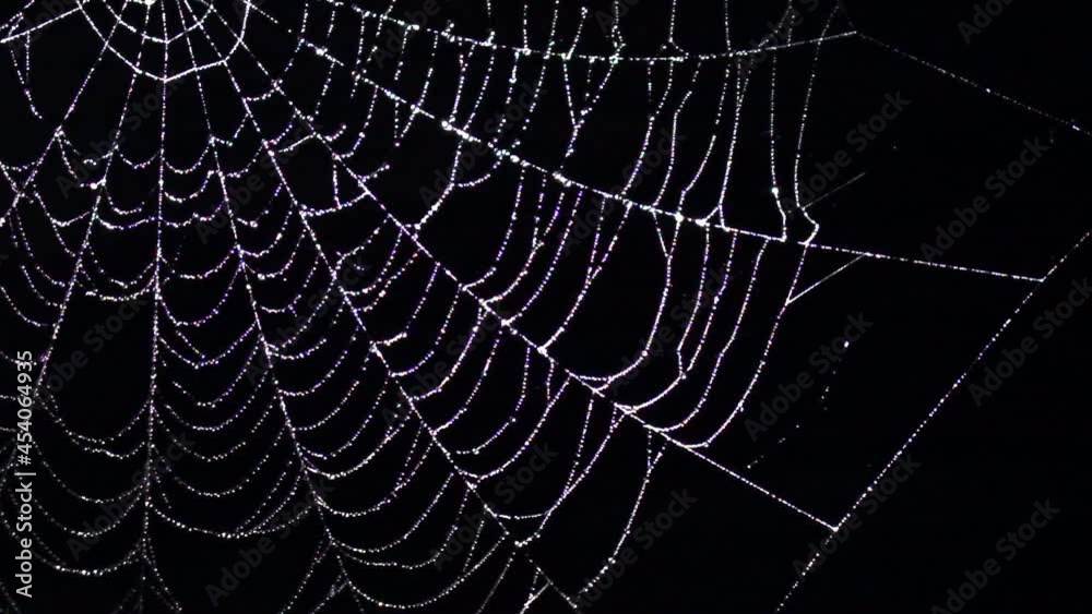 Sparkling spider web with water drops swaying in wind at night. Scary Halloween decoration. Slow motion. Close up.