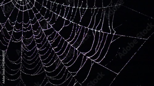 Sparkling spider web with water drops swaying in wind at night. Scary Halloween decoration. Slow motion. Close up.