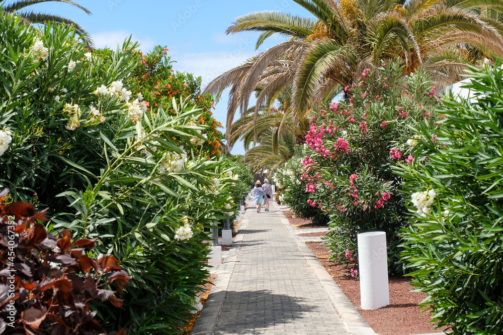 Tropikalny ogród w miejscowości Playa Blanka na wyspie Lanzarote