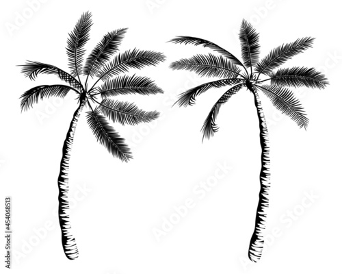 Two palms leaned towards each other. Beautiful tropical composition for banner, print, advertisement, flyer. Black silhouette of trees. Palm tree realistic vector illustration, outline drawing