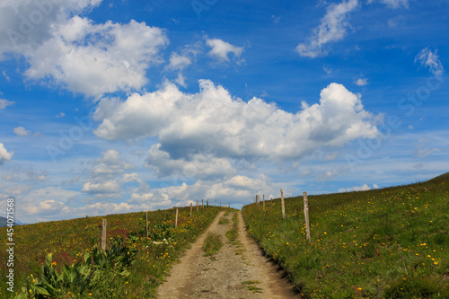 Dirt road between green fields with white clouds