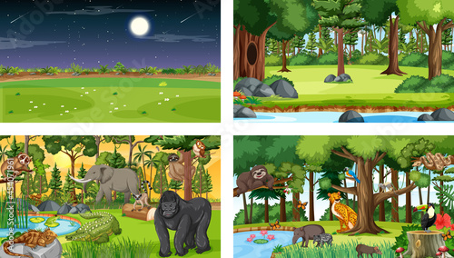 Different nature scenes of forest and rainforest with wild animals
