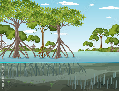 Mangrove forest landscape scene at daytime © blueringmedia