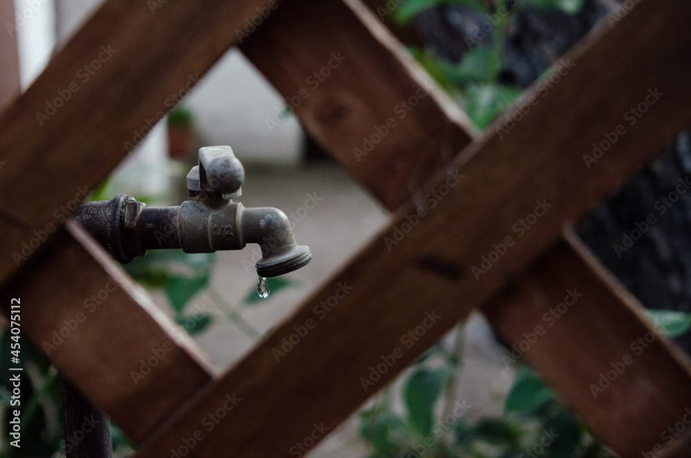 Obraz premium pump in the garden