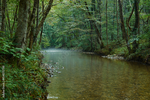 Small forest river running in a deep forest