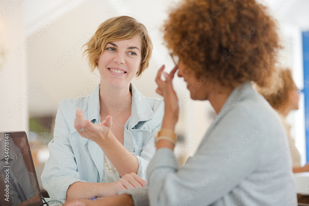 Obraz premium Women using laptop in office and smiling