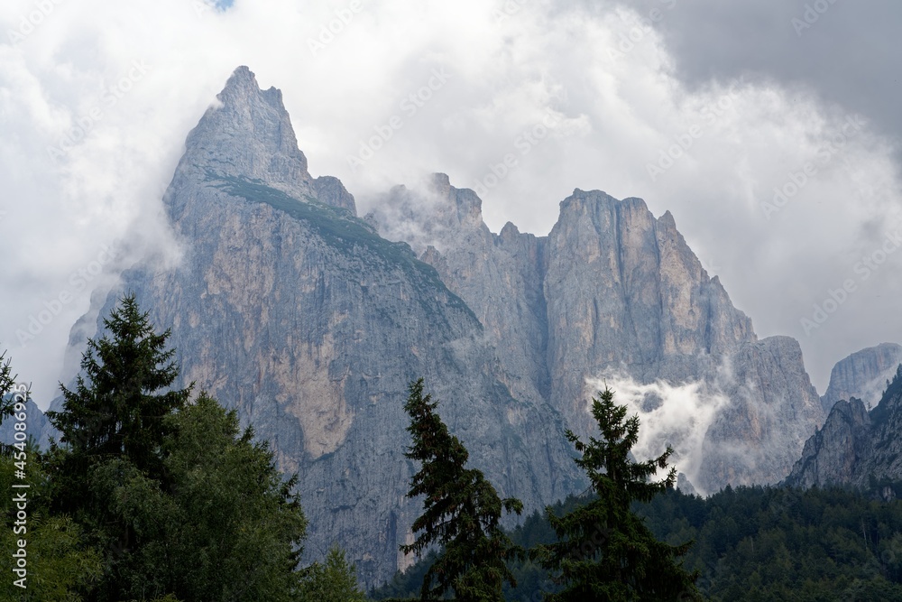 Gebirge in Wolken gehüllt mit Bäumen im Vordergrund, Schlern, Südtirol, Dolomiten, Italien