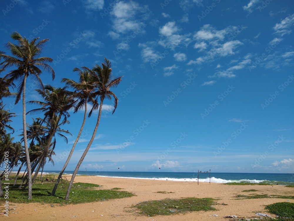 Fototapeta premium coconut palm trees on the beach, blue sky background, Poovar beach, Thiruvananthapuram Kerala, seascape view