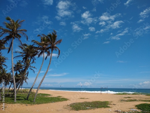 coconut palm trees on the beach, blue sky background, Poovar beach, Thiruvananthapuram Kerala, seascape view