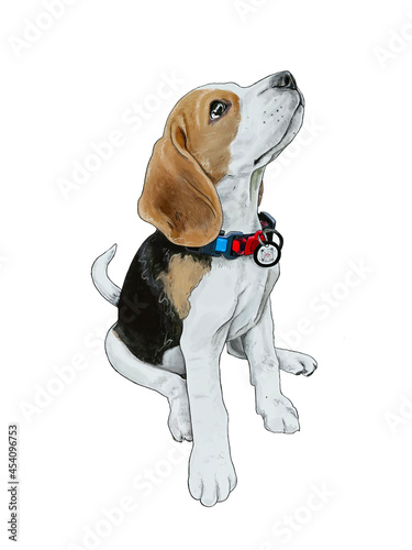 Beagle dog pedigree pup isolated on white, watercolor illustration. Colourful detailed friendly hound, pedigreed purebred puppy. Drawing of cute doggie. Pets obedience, dogs training concept.