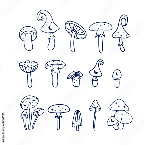 Fototapeta Celestial and magic mushroom design elements, witchy mushrooms set