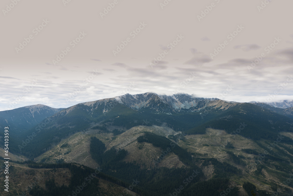 Simply photo of green trees with blue sky and clouds. Low tatras, Janska valley Slovakia.