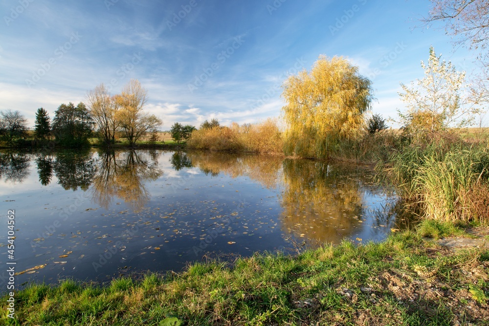 Trees at the pond before sunset. Rouske. Eastern Moravia. Czechia. Europe. Trees at the pond before sunset. Rouske. Eastern Moravia. Czechia. Europe.