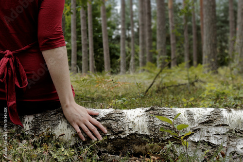 Fotografia, Obraz Woman in red dress sits on fallen birch tree trunk in natural forest