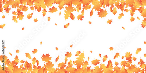 Autumn leaves long border. Fall maple composition. October foliage frame. Oak leaf decor september poster. Orange plant. Thanksgiving day card. Harvest party web banner. Vector illustration