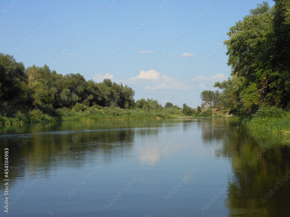 Fototapeta premium bear river