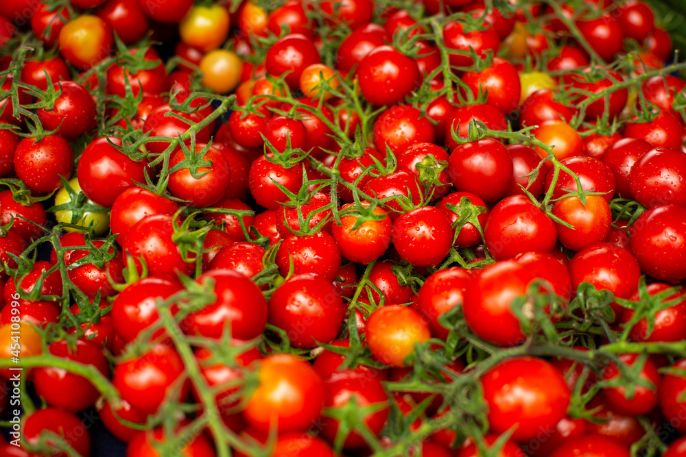 Closeup of cherry tomatoes on the vine.