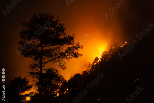 Night view of a forest fire in a steep rocky terrain. Flames, sparks and smoke rise to the sky. Silhouettes of pine trees are visible among the flames. 