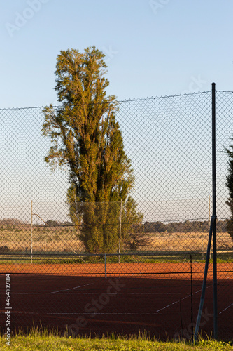 Green tree behind fenced playground in suburbs. © timallenphoto