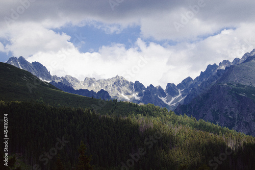 landscape with clouds  forest and mountains