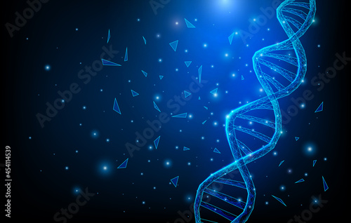Wireframe DNA molecules structure mesh low poly consisting of points, lines, and shapes on dark blue background. Science and Technology concept