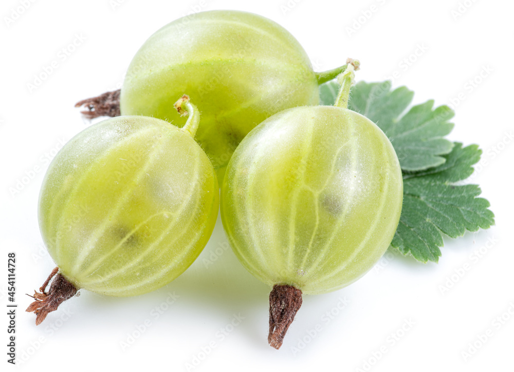 Three green ripe gooseberries with leves on white background. Close-up. Three green ripe gooseberries with leves on white background. Close-up.