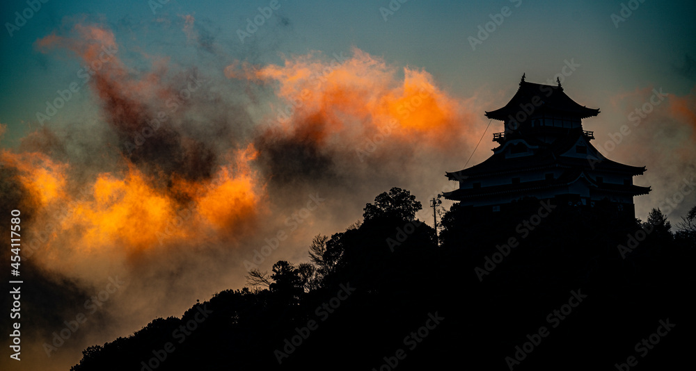 Fototapeta premium 日本の城