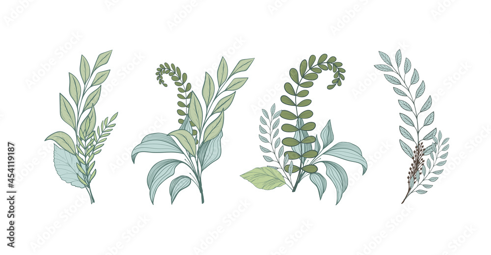 A set of graceful bouquets of different forest herbs, green branches of plants with leaves, elements for a wedding card design. Vector illustration isolated on white background. A set of graceful bouquets of different forest herbs, green branches of plants with leaves, elements for a wedding card design. Vector illustration isolated on white background.