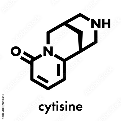 Cytisine (baptitoxine, sophorine) smoking cessation drug molecule. Skeletal formula.