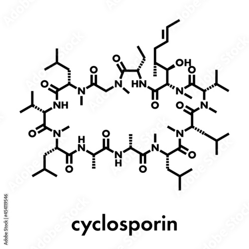 Ciclosporin (cyclosporine) immunosuppressant drug molecule. Used to prevent rejection of transplanted organs and for a number of other uses. Skeletal formula. photo