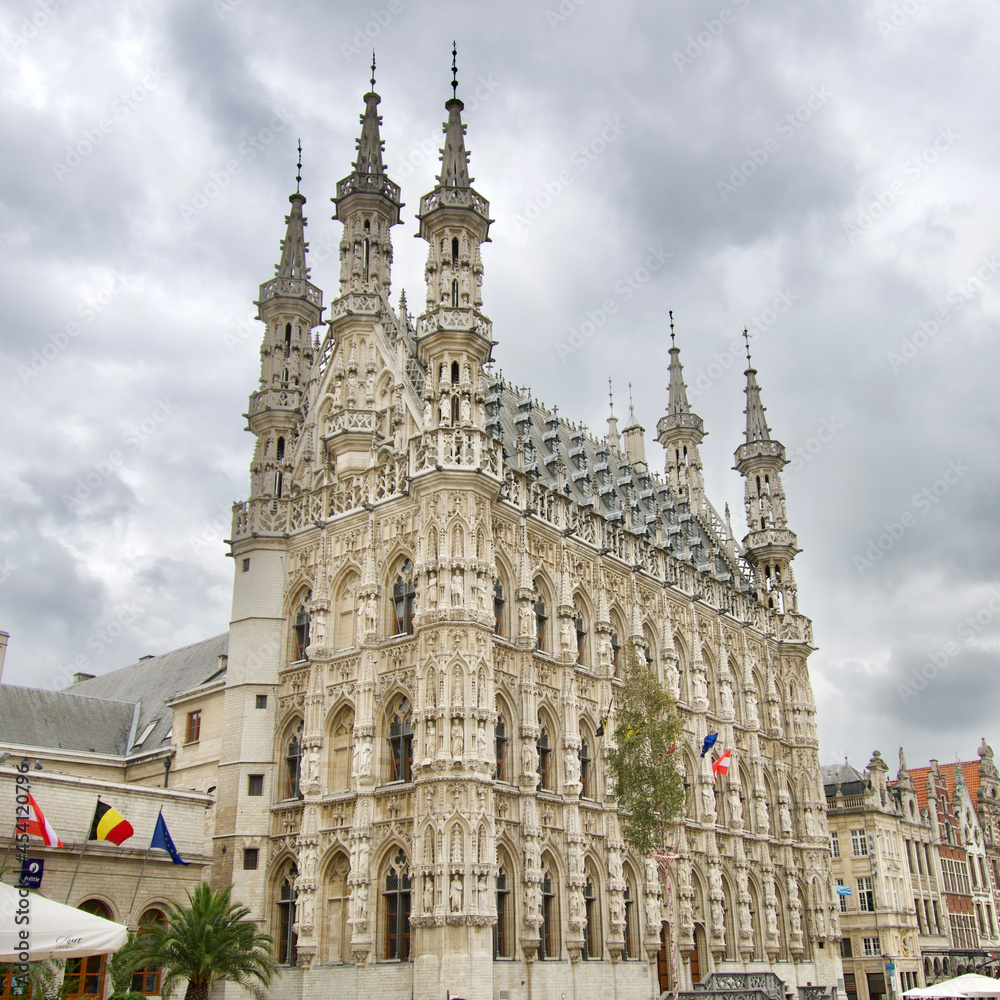 Town Hall of Leuven, Belgium. It's a 15th century building, across from the monumental St. Peter's Church.