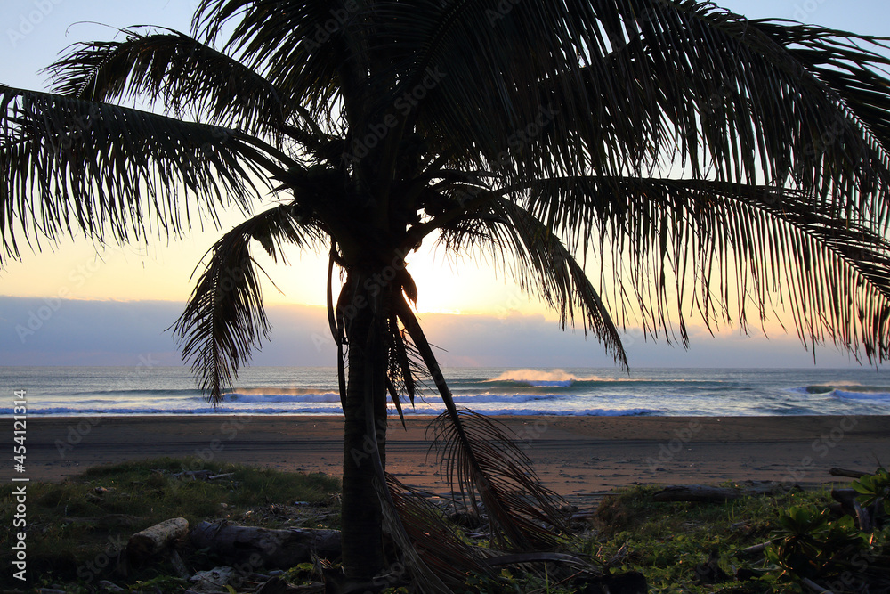 Palm tree silhouette and waves greet the sun on a beach in Taiwan