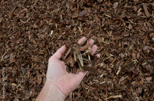 Картината върху платно mulch bark from pieces of pine and spruce to prevent weeds from growing and germ