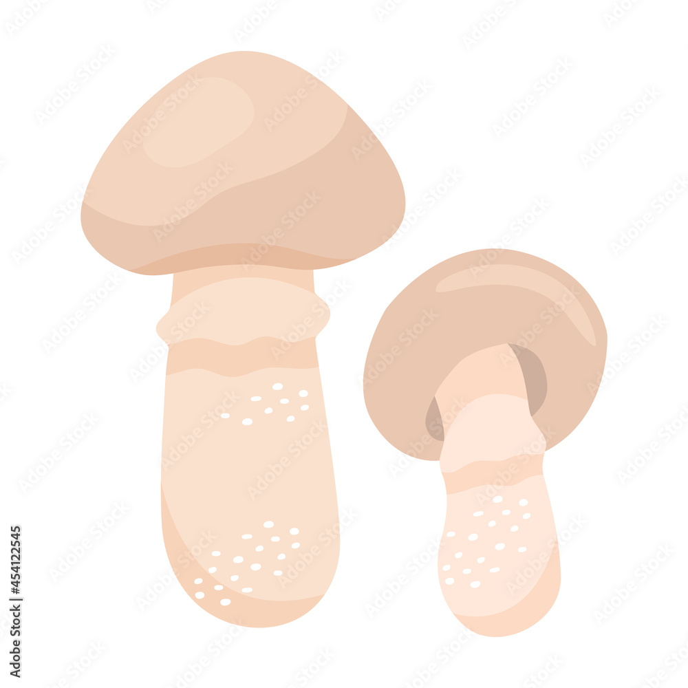 Champignon mushroom in flat style. Hand drawn vector illustration of edible wild forest mushroom. Autumn symbol, organic food icon. Isolated element for design