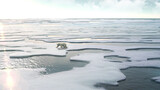 Polar Bear walking on Melting ice landscape
North Pole Global warming, melting glaciers, protecting the environment, 
