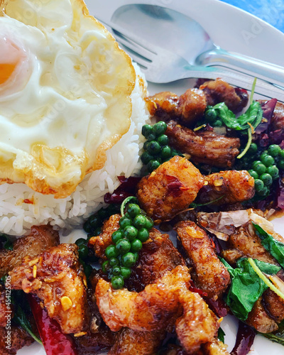 chicken wings with rice