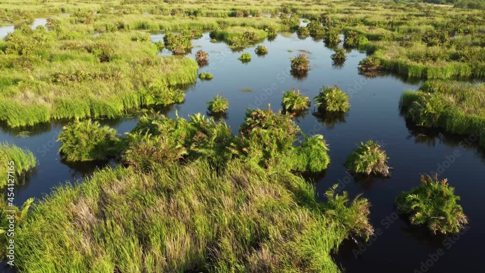 Peatlands and marshes at Batu Kawan, Malaysia