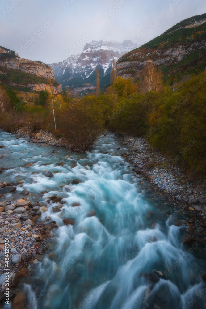 Aerial vertical  view of a river in snowy winter mountain river landscape with trees in Ordesa Valley, Pyrenees, national park, Spain.