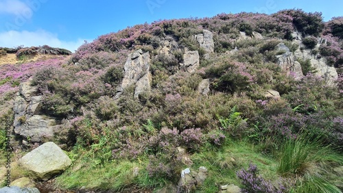 Ilkley Moor