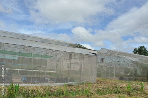 greenhouse nursery in the cultivation area