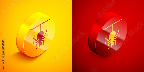 Isometric Spider icon isolated on orange and red background. Happy Halloween party. Circle button. Vector