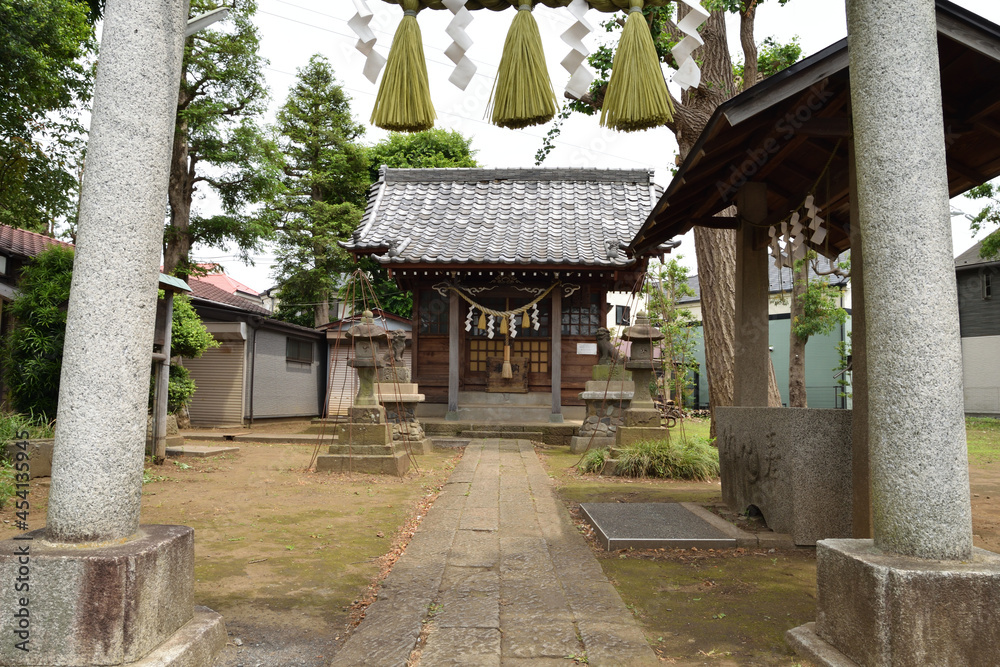Fototapeta premium Small Shrine in Tokyo, Yatsurugi-Jinja